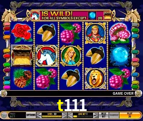 Live Casino t111